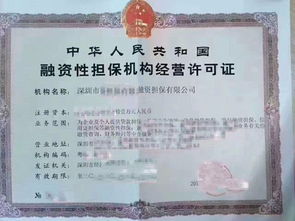 專業(yè)公司注冊(cè)代理與融資租賃、商業(yè)保理服務(wù)的核心價(jià)值